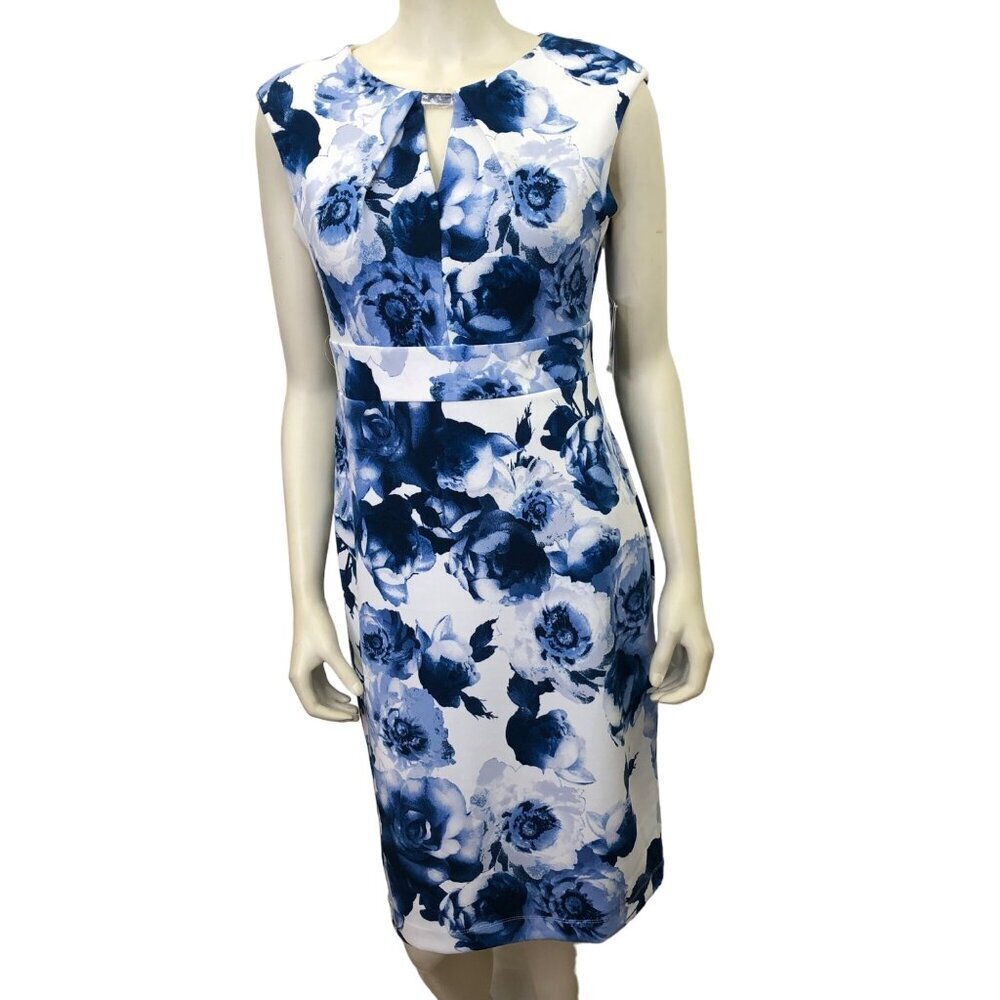 DANNY & NICOLE $74 SHEAT FLORAL PRINT DRESS SZ 8 NWT